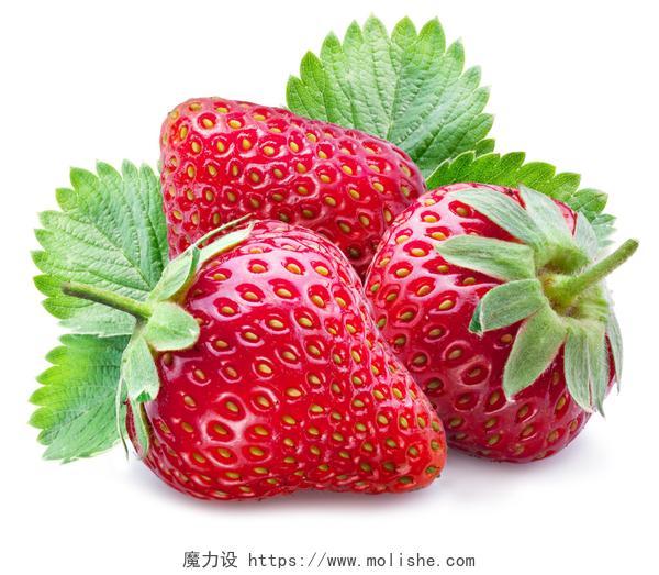 在白色背景上的草莓三个成熟的草莓用叶子.